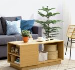 Moku Coffee Table - Image 2